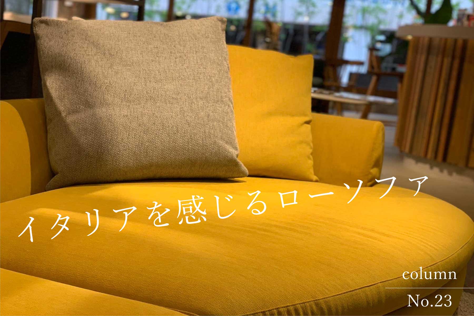 トピックス写真