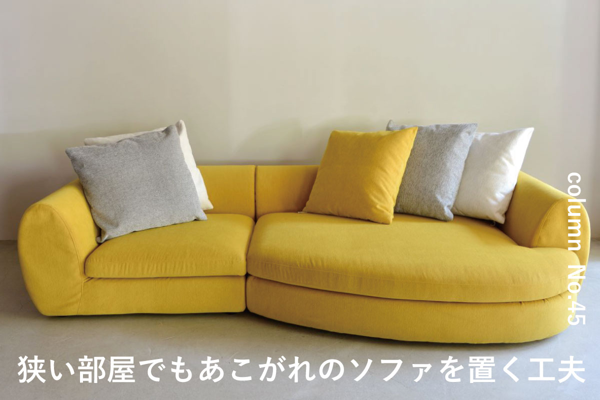トピックス写真