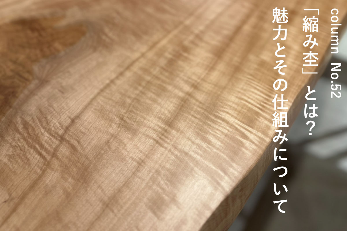 トピックス写真